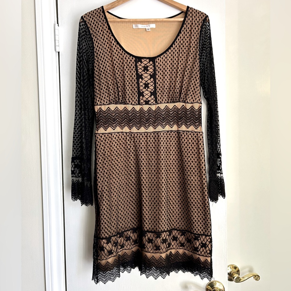 Pretty Studio M Black Lace Dress LBD Nude Lining Scallop Sleeve/Bottom Hem, Med